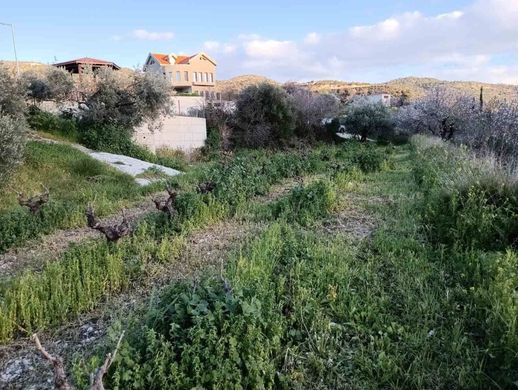 Land in Dorós, Limassol District