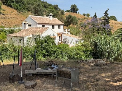 Rural or Farmhouse in Casares, Malaga