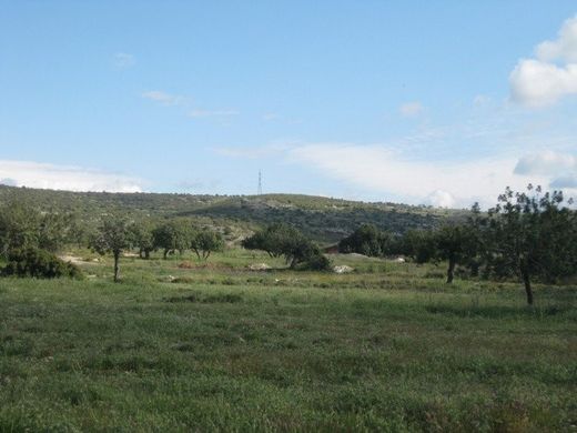 Land in Erími, Limassol District