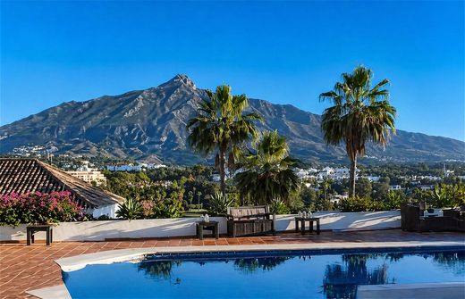 Detached House in Nueva Andalucia, Malaga