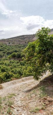 Усадьба / Сельский дом, Мотриль, Provincia de Granada