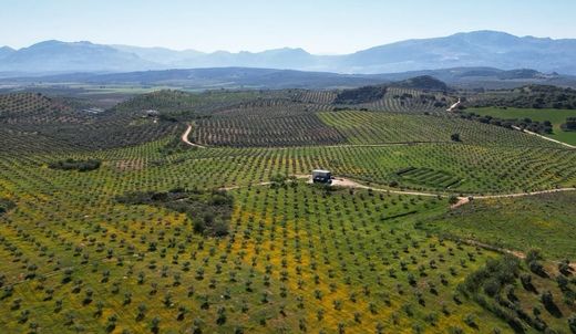 Grond in Archidona, Provincia de Málaga