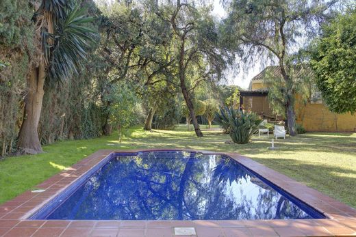 Detached House in El Rosario, Malaga