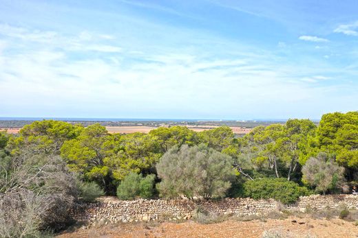 Terreno a ses Salines, Isole Baleari