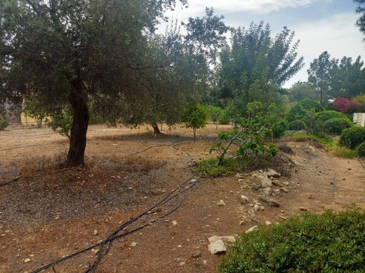 Terreno a Aphrodite Hills, Paphos District