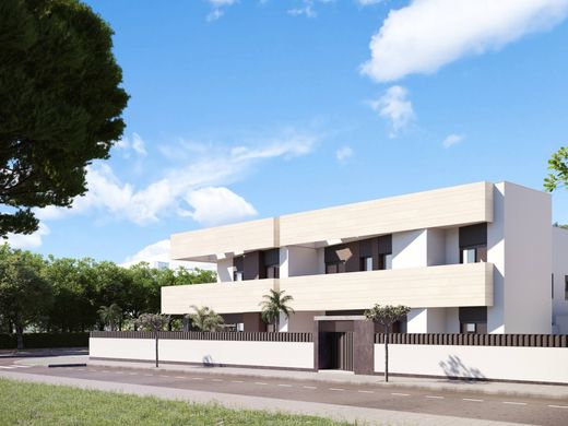 Appartement in Pilar de la Horadada, Provincia de Alicante