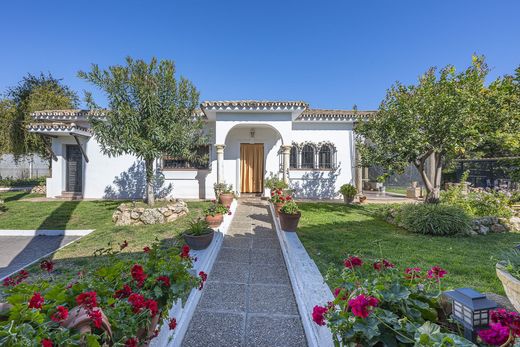Detached House in Guadalmina, Malaga
