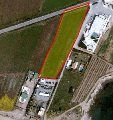 Land in Tími, Paphos District
