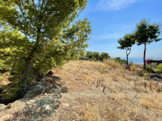 Terreno a La Herradura, Provincia de Granada