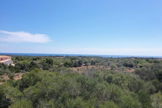 Terreno en Cala Murada, Islas Baleares