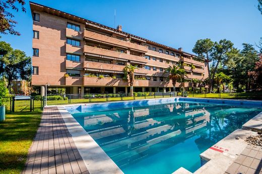Apartment / Etagenwohnung in Madrid, Provinz Madrid