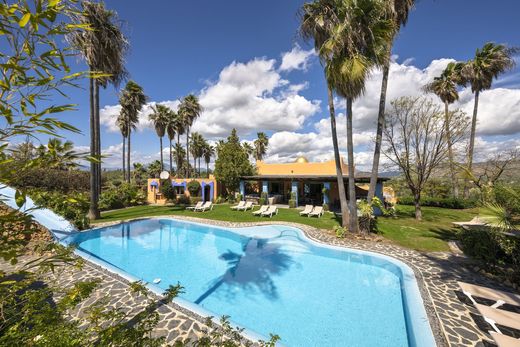 Boerderij in Alhaurín el Grande, Provincia de Málaga