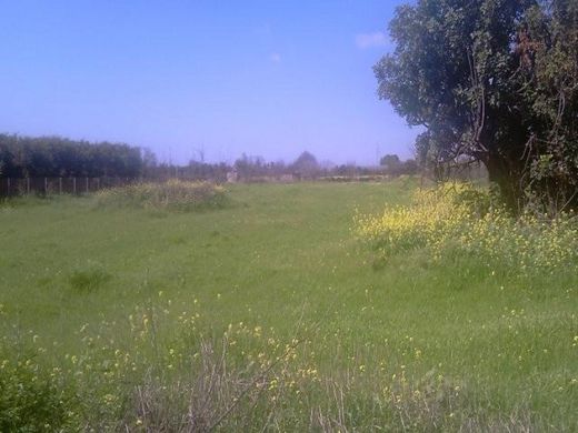 Terreno a Ýpsonas, Limassol District