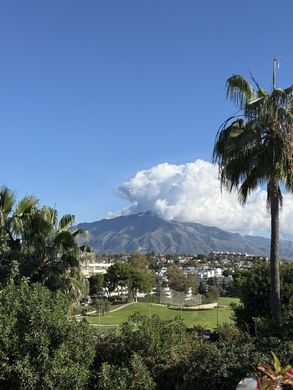 Villa multifamiliale à Guadalmina, Malaga