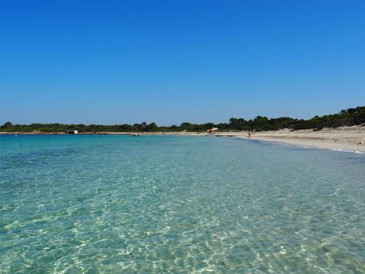 Ses Salines, Illes Balearsのアパートメント