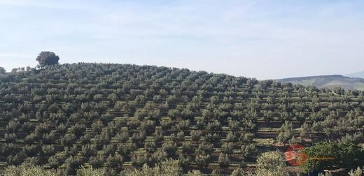 村舍/农舍  Alhama de Granada, Provincia de Granada