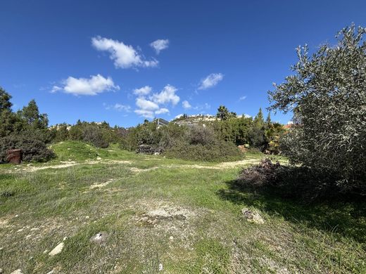 Arsa Limasol, Limassol District