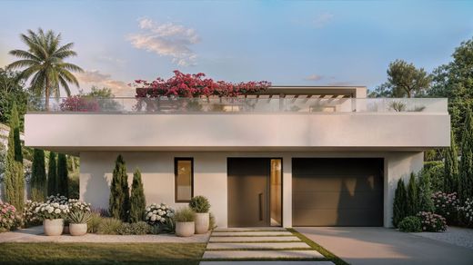 Detached House in Guadalmina, Malaga