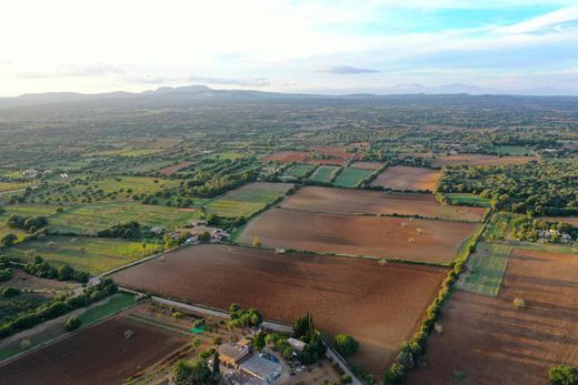 Rustico o Casale a Felanitx, Isole Baleari