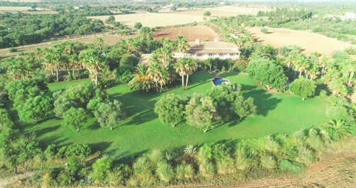 Rural or Farmhouse in Santa Margalida, Province of Balearic Islands