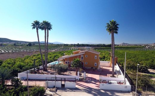 Вилла, Ориуэла, Provincia de Alicante