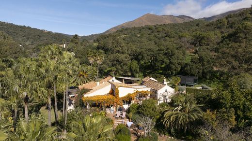 Boerderij in Casares, Provincia de Málaga