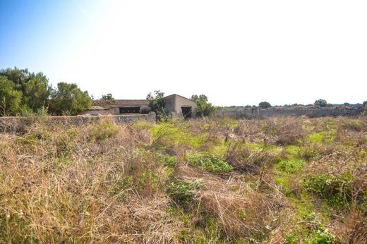 Vilafranca de Bonany, Illes Balearsのカントリー風またはファームハウス