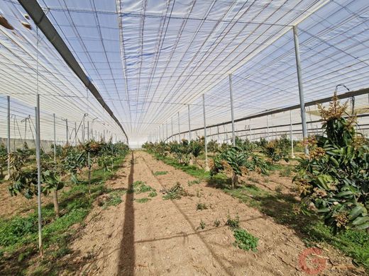 Rustik ya da çiftlik Molvízar, Provincia de Granada