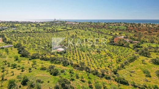 토지 / Albufeira e Olhos de Água, Albufeira