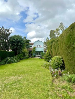 Detached House in Guadalmina, Malaga