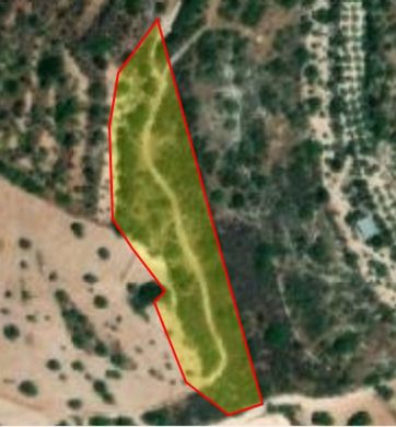 Land in Koíli, Paphos District