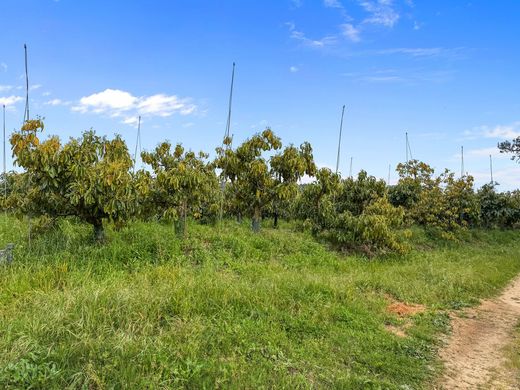 Detached House in Sotogrande, Cadiz