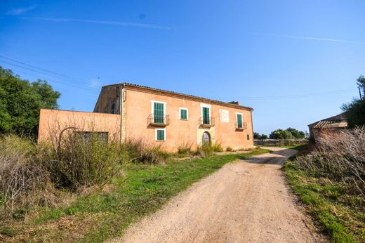 Rural ou fazenda - Vilafranca de Bonany, Ilhas Baleares