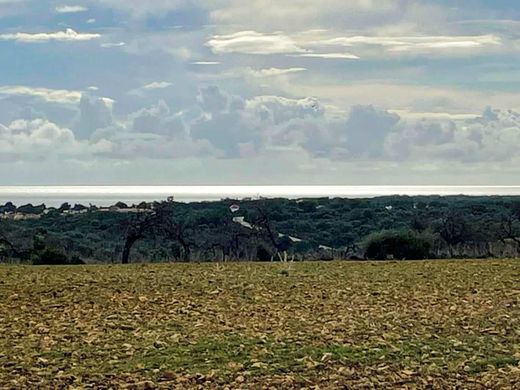 ‏בתים כפריים או חוות ב  Cala Murada, Illes Balears