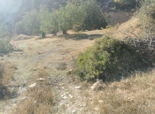 Terreno - Agia Fylaxis, Lemesós