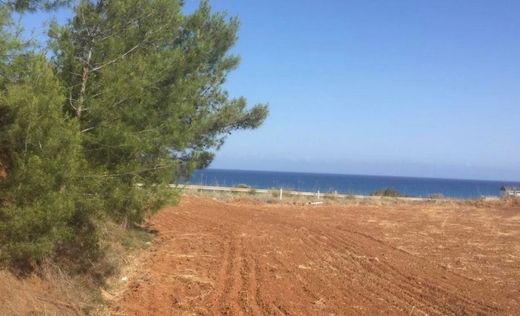 Участок, Néa Dímmata, Paphos District