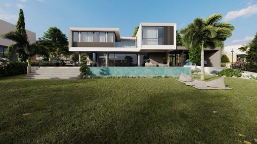 Detached House in Pégeia, Paphos District