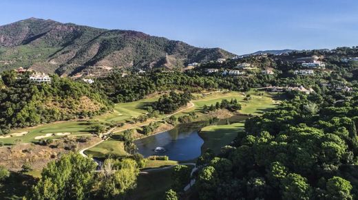 Land in Benahavís, Malaga