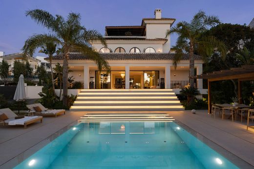 Casa Independente - Nueva Andalucia, Málaga