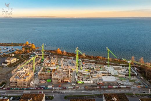 Daire Horn, Wahlkreis Rorschach