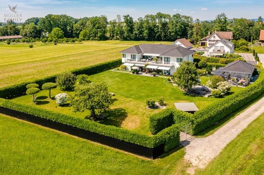 Villa Neukirch, Bezirk Arbon