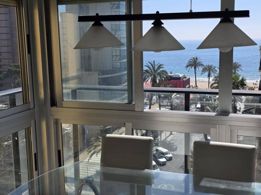 Apartment in Benidorm, Alicante