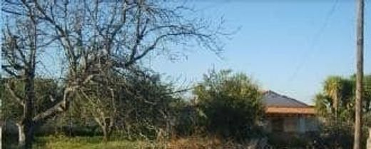 Ontinyent, バレンシアの土地