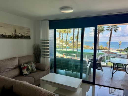 Apartment / Etagenwohnung in Torrevieja, Alicante