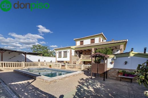 Detached House in Albolote, Granada
