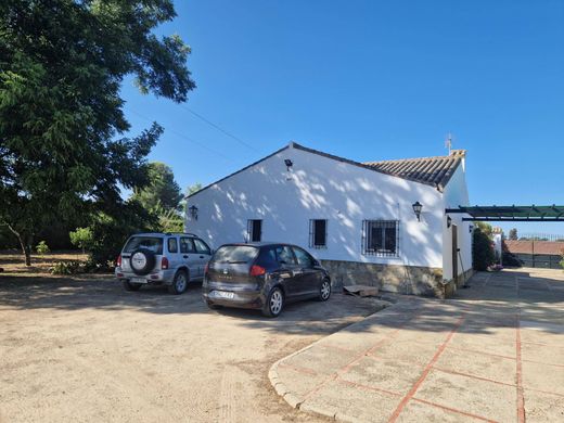 Rustykalny lub Wiejski w Jerez de la Frontera, Provincia de Cádiz