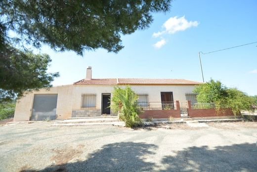 Rural or Farmhouse in Murcia