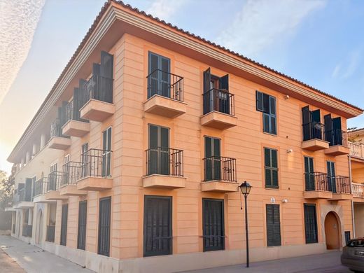 Penthouse Santa Maria del Camí, Illes Balears