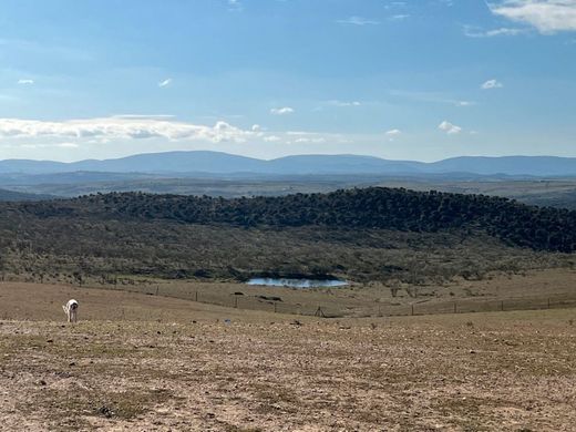 Land in Valencia de Alcántara, Caceres