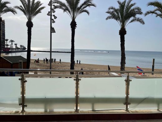 Torrevieja, アリカンテのアパートメント